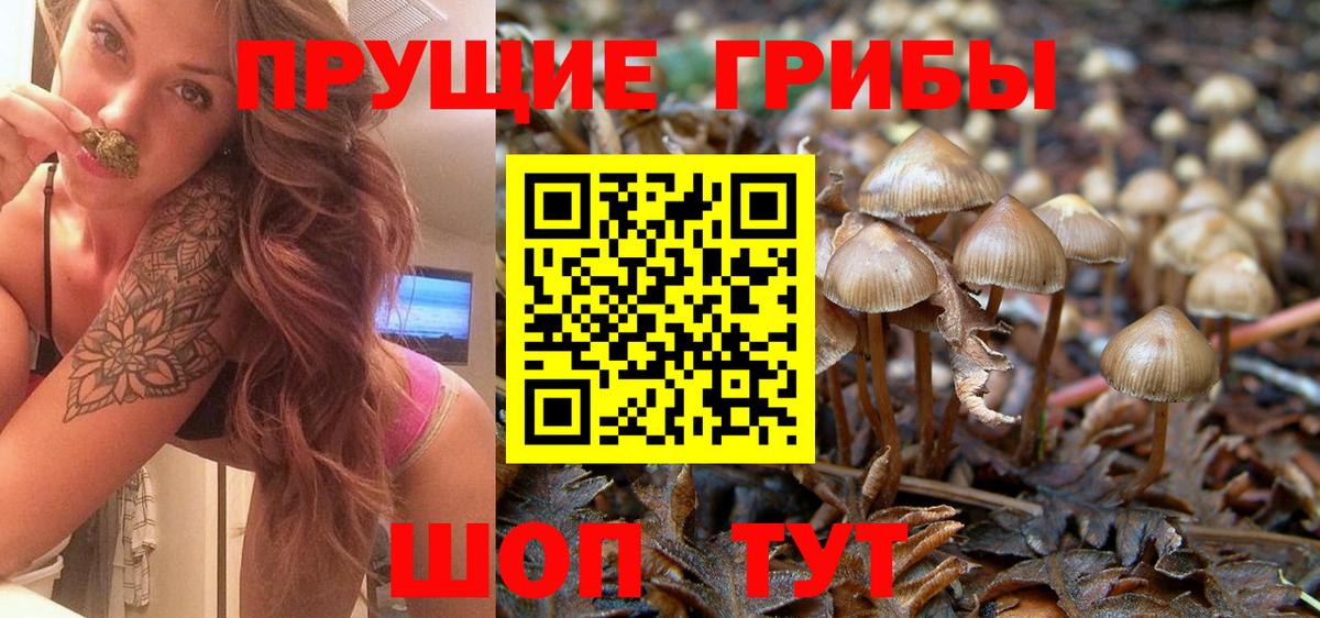Псилоцибиновые грибы Psilocybe  Вход с VPN  Старая Купавна 